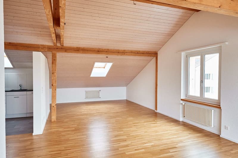 Einzigartige Dachwohnung! (1)