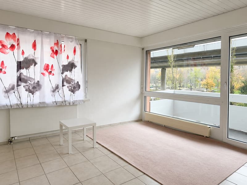 Gemütliche 2.5-Zimmer-Wohnung mit Balkon, Zürich Enge, verfügbar ab 20. Juli 2026 (1)