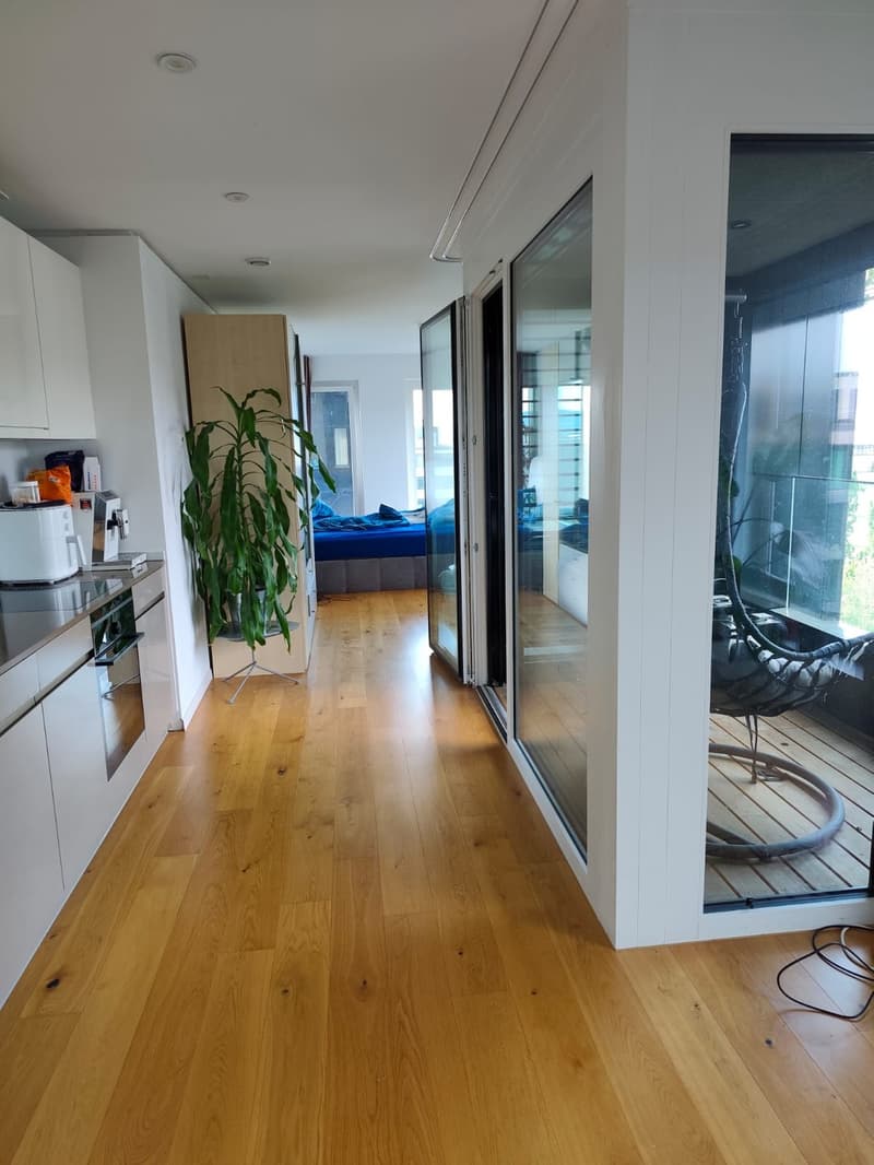 Schönes Apartment, vorübergehende Untervermietung (12)