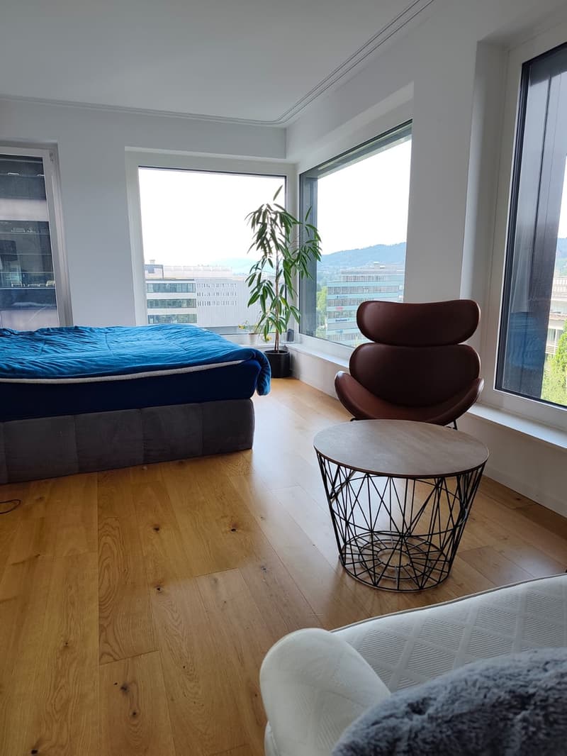 Schönes Apartment, vorübergehende Untervermietung (11)