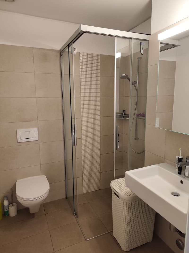 Schönes Apartment, vorübergehende Untervermietung (5)