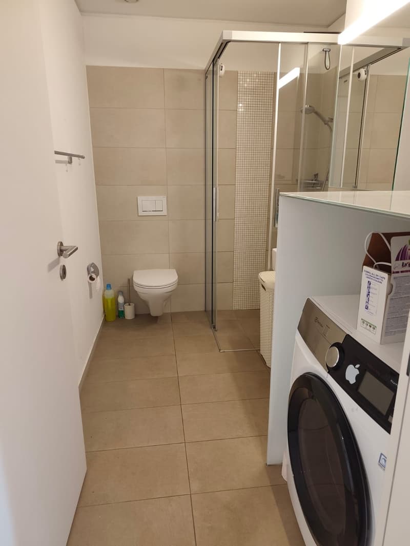 Schönes Apartment, vorübergehende Untervermietung (3)