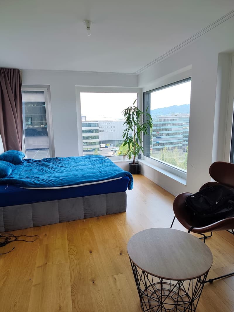 Schönes Apartment, vorübergehende Untervermietung (10)