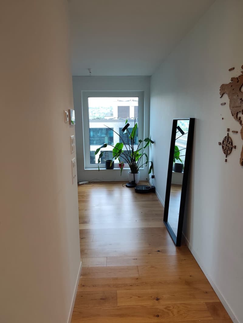 Schönes Apartment, vorübergehende Untervermietung (1)