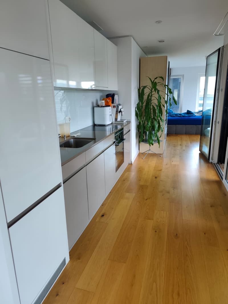 Schönes Apartment, vorübergehende Untervermietung (2)