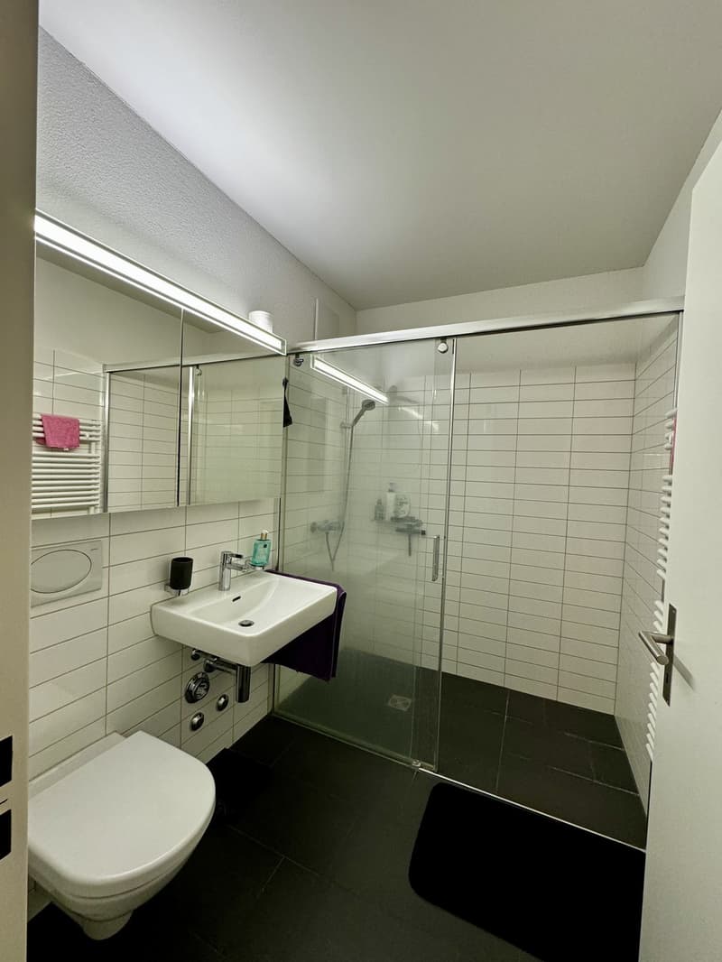 Möblierte 2.5Zi Wohnung in Zürich (6)