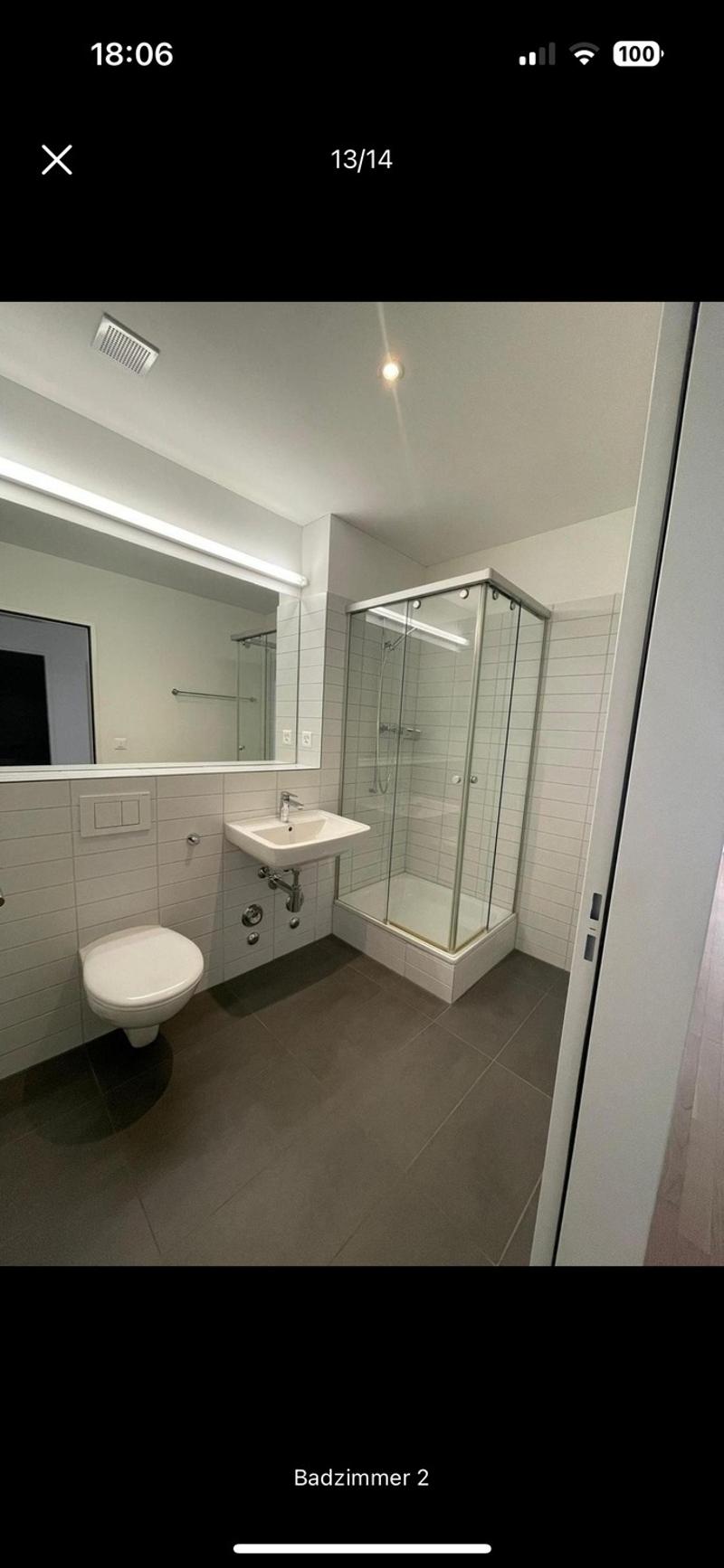 4 ½ Zimmer-Wohnung, 8953 Dietikon (11)