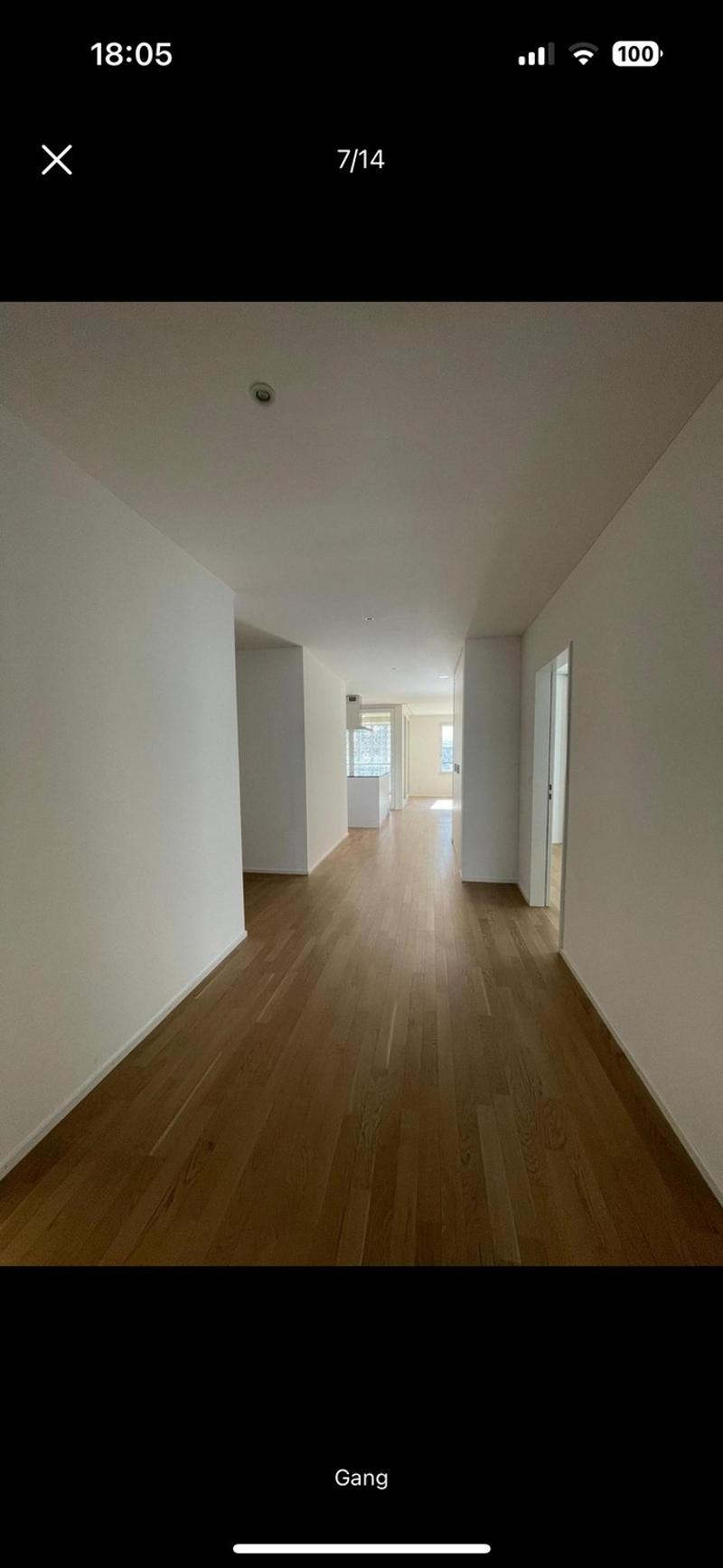 4 ½ Zimmer-Wohnung, 8953 Dietikon (8)