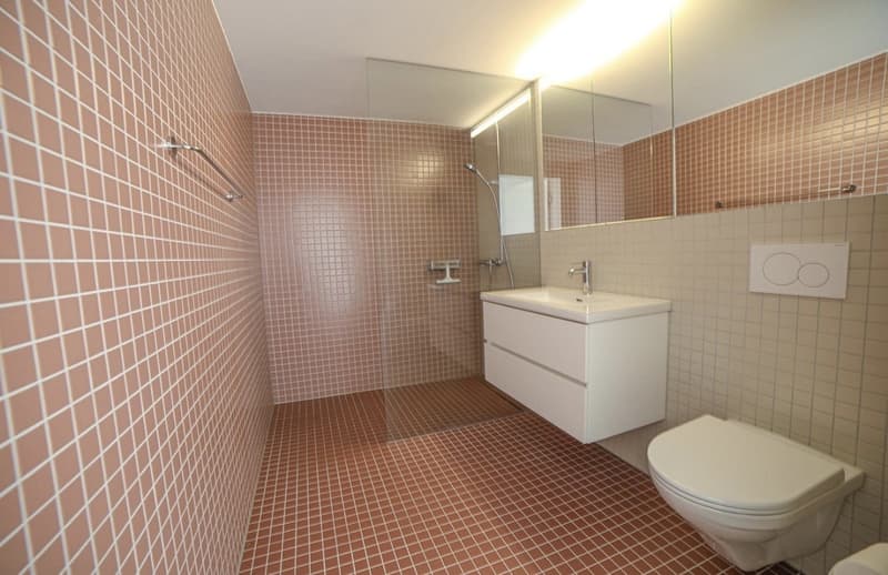 Moderne 3.5-Zimmer-Neubauwohnung (6)