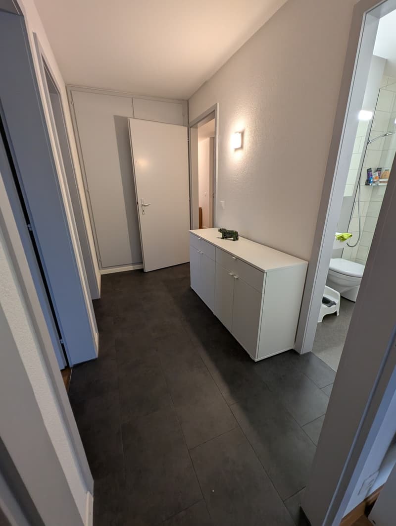 Helle, ruhige und 2026 neu gestrichene Wohnung (8)