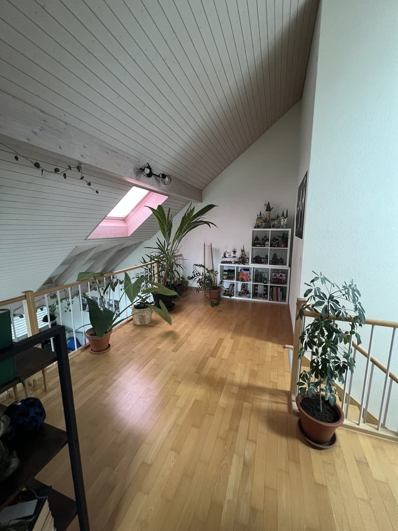 Möblierte 3.5-Zimmer-Dachwohnung zur Untermiete (ab Oktober 2026, mind. 9 Monate) (3)