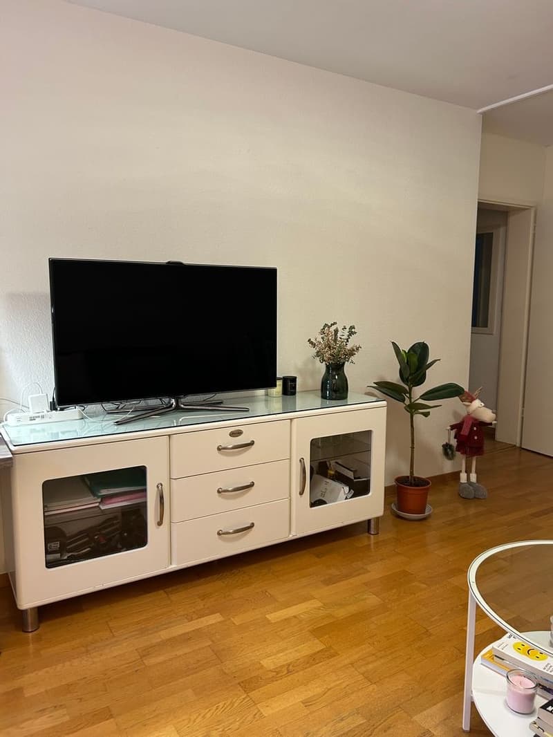 Mieten Sie eine 2 ½-Zimmer-Wohnung in Zürich 8002 (ZH) Zürich (8)