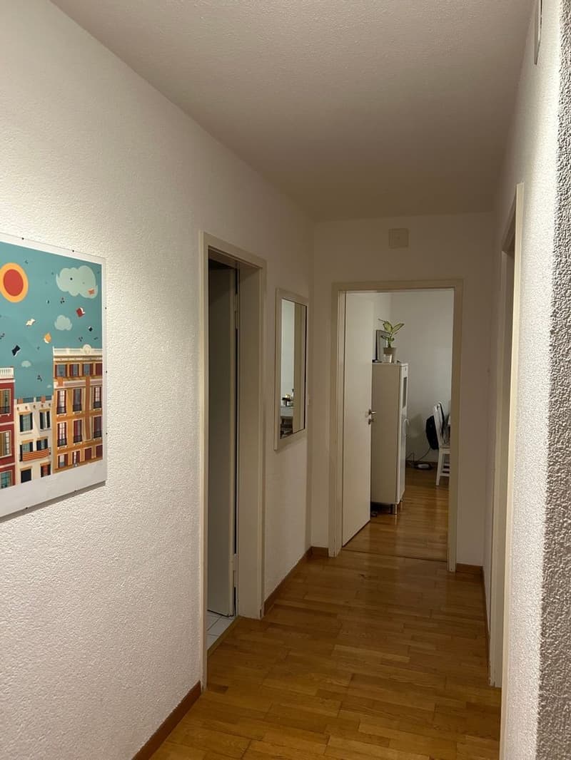 Mieten Sie eine 2 ½-Zimmer-Wohnung in Zürich 8002 (ZH) Zürich (6)