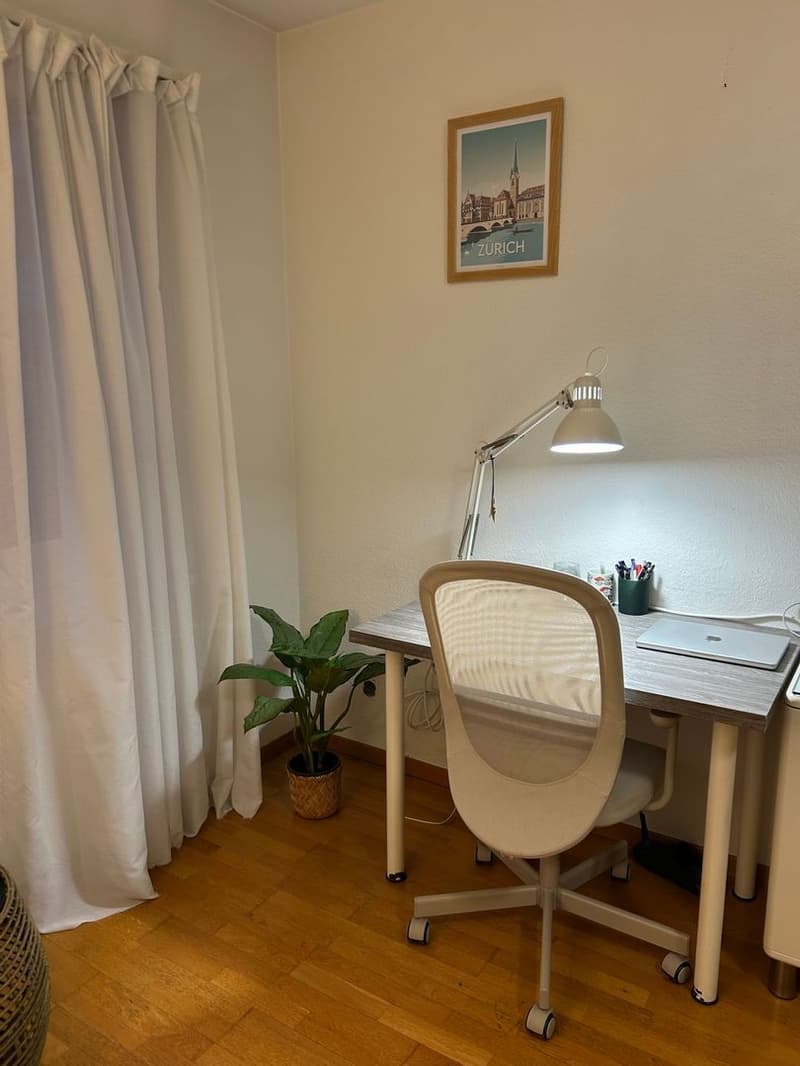 Mieten Sie eine 2 ½-Zimmer-Wohnung in Zürich 8002 (ZH) Zürich (9)