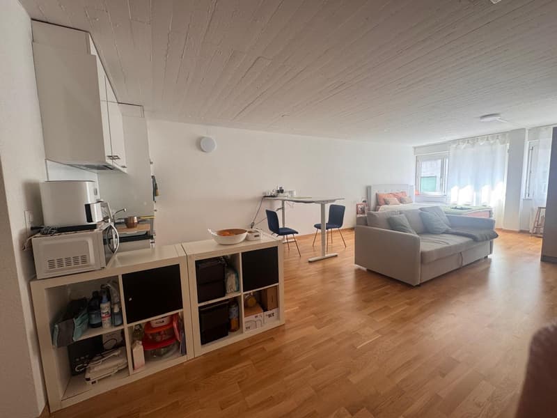 Helles 1-Zimmer-Apartment in Zürich (8004) Verfügbar ab August (2)