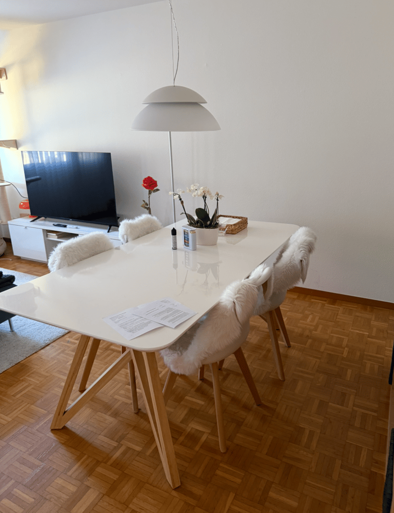 Nachmieter für ruhige 2.5-Zimmerwohnung in Dübendorf (EG) (8)