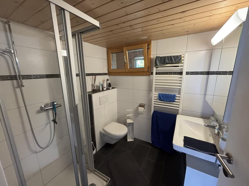 Schöne Dachwohnung mit toller Aussicht (4)