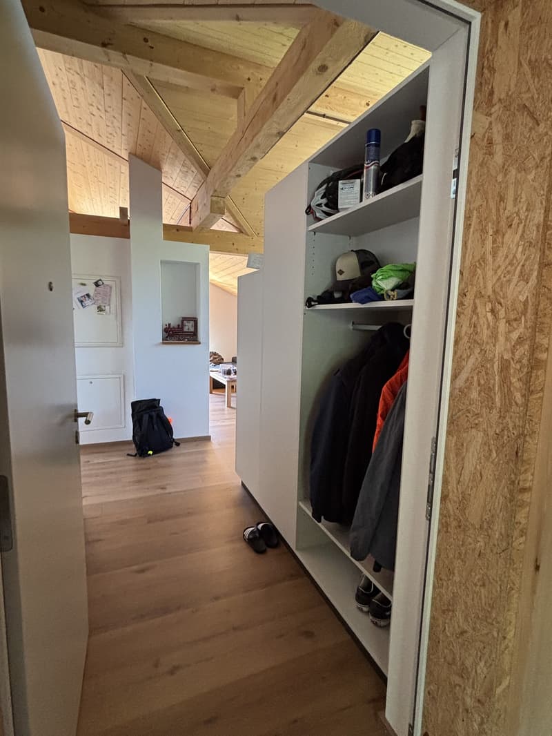 Schöne Dachwohnung mit toller Aussicht (5)