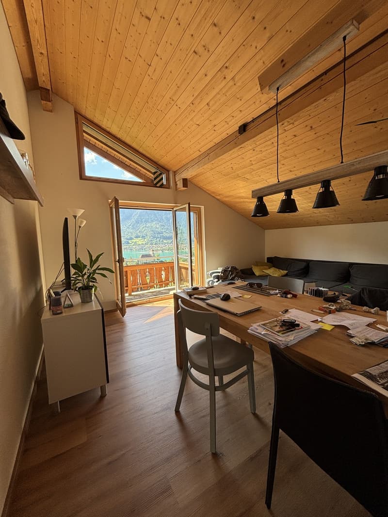 Schöne Dachwohnung mit toller Aussicht (6)