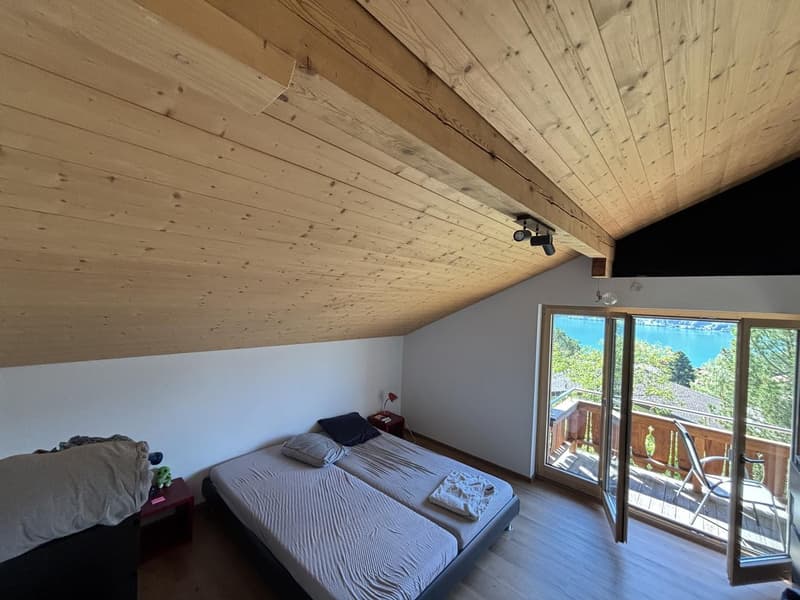Schöne Dachwohnung mit toller Aussicht (7)