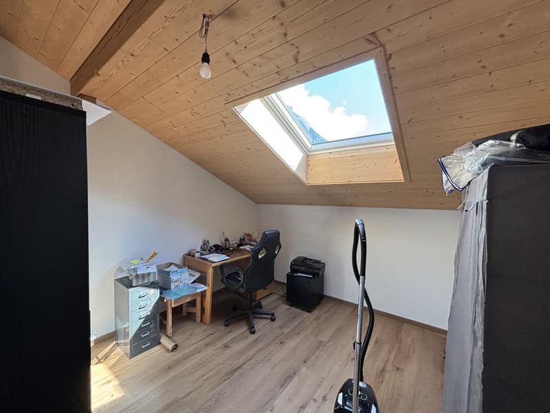 Schöne Dachwohnung mit toller Aussicht (1)