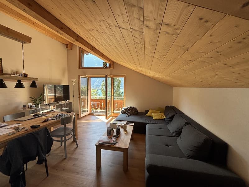 Schöne Dachwohnung mit toller Aussicht (8)