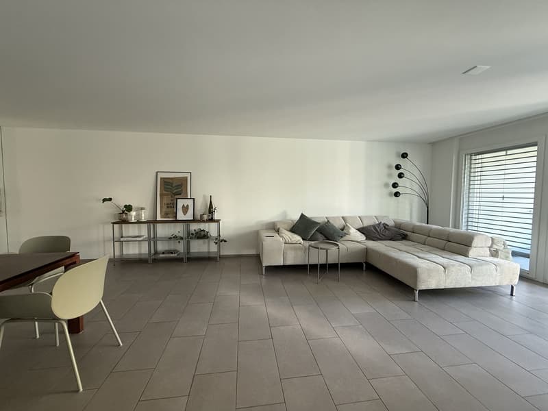 Appartement 4,5 pièces à Altstetten (3)