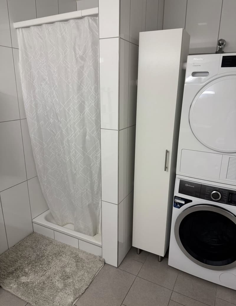 Appartement 4,5 pièces à Altstetten (11)