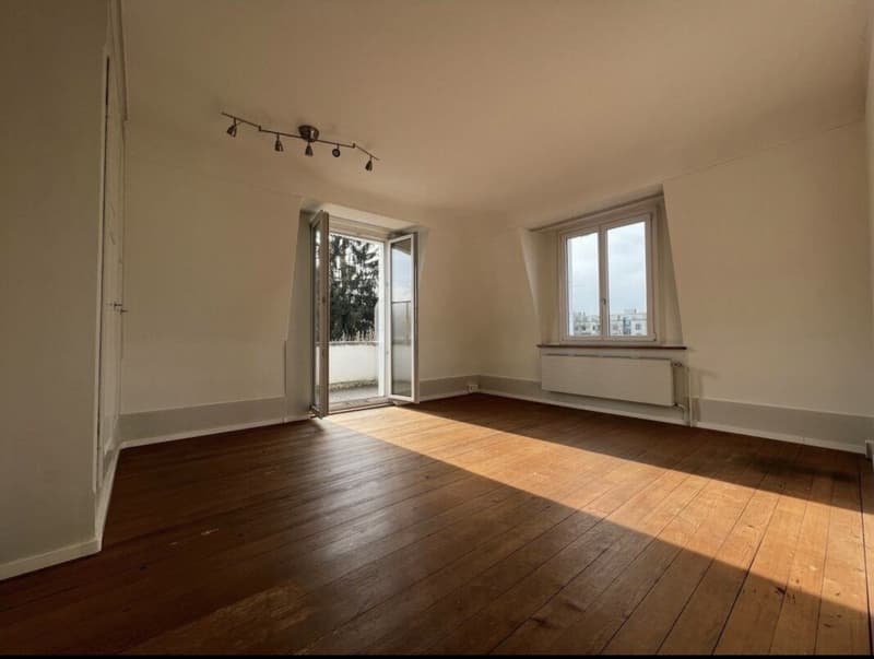 Smarte Wohnung mit sonnigen Balkon! (3)