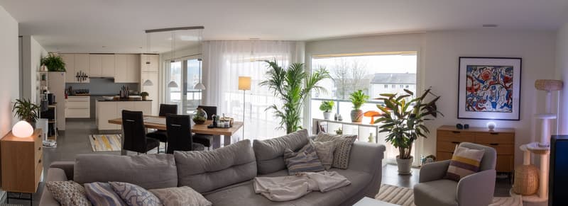 Beautiful modern and large apartment directly next to Aarau (1)