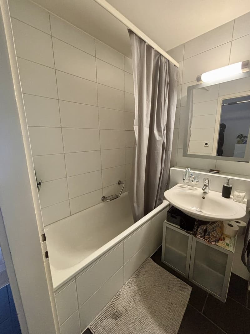 Zentrale und gut angebundene 2.5-Zimmer-Wohnung in Oerlikon (5)