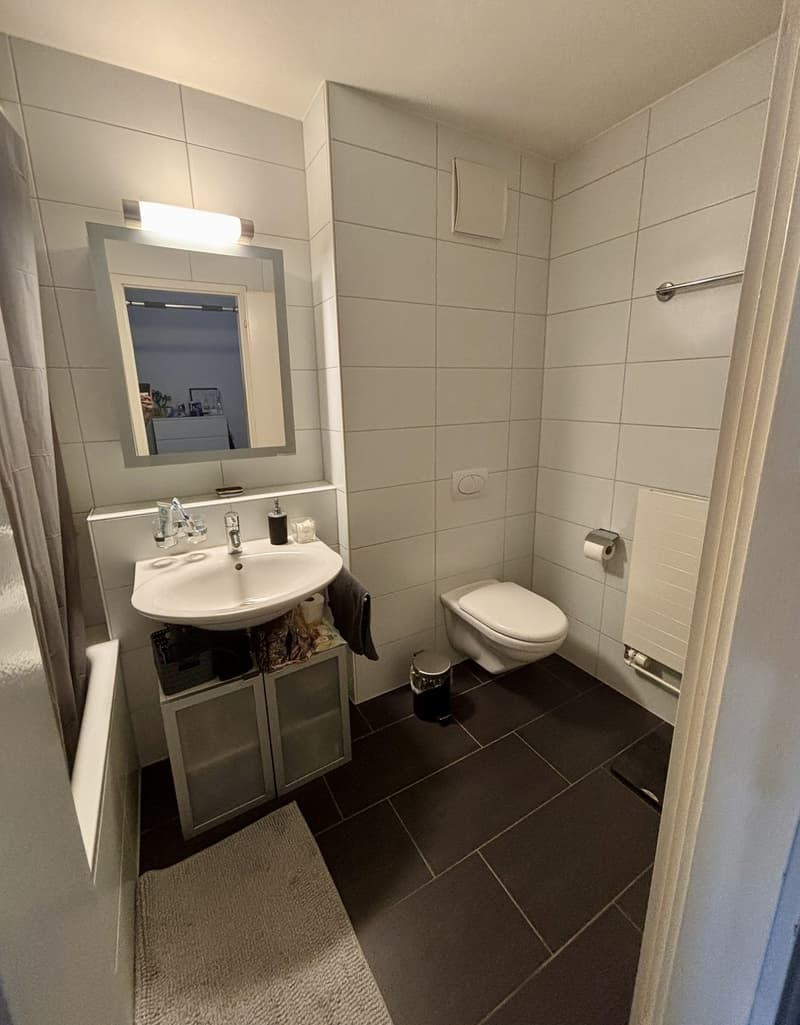 Zentrale und gut angebundene 2.5-Zimmer-Wohnung in Oerlikon (6)