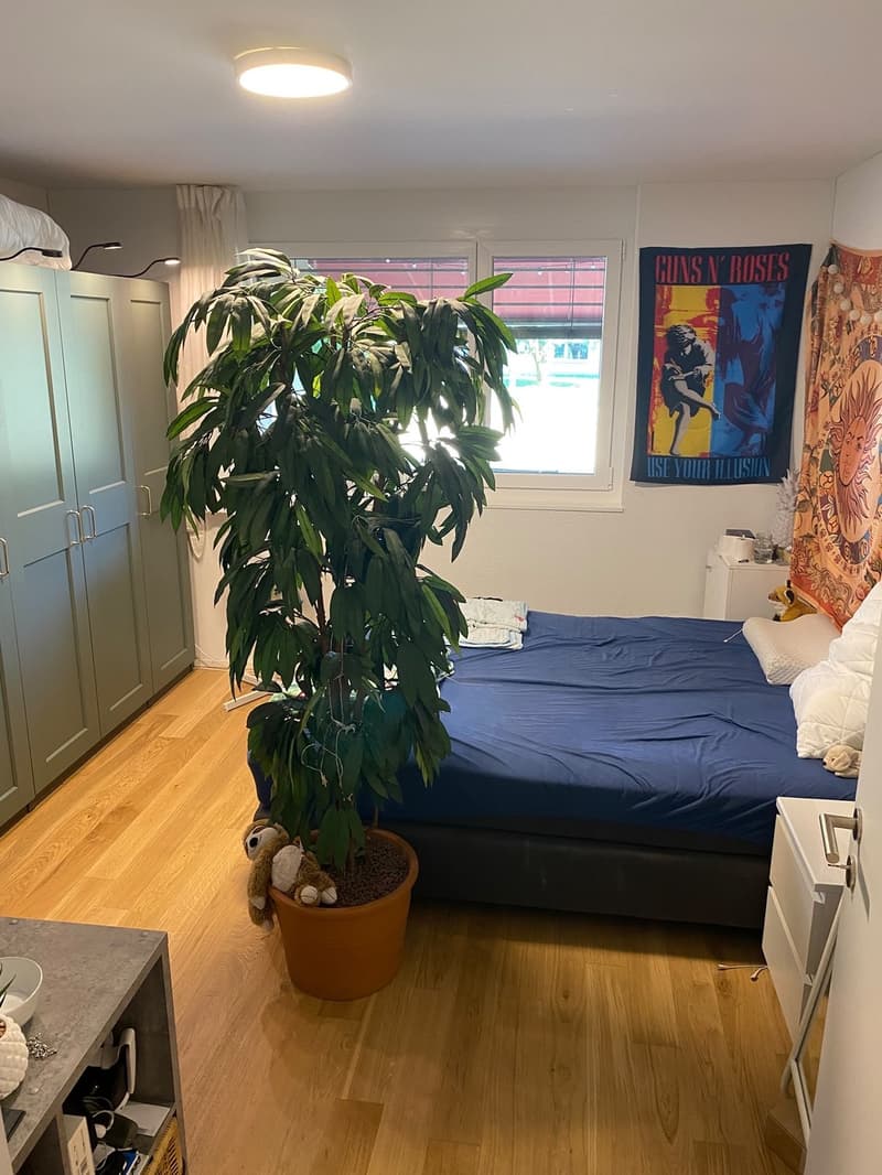 Gemütliche 2.5 Zimmer Wohnung (3)