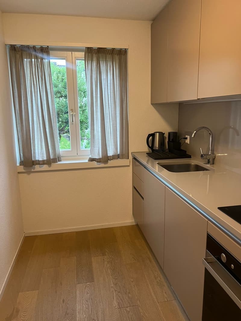Tenant wanted  Beautiful 4-room apartment in Horgen (5)