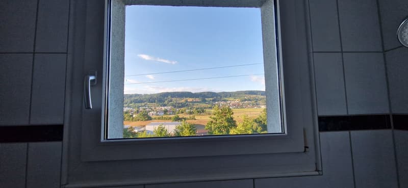 3.5 Zimmer Wohnung in Turgi (6)