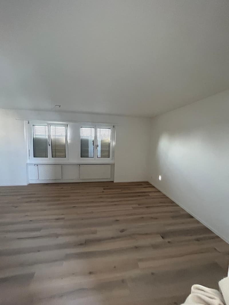Appartamento 3 locali luminoso e moderno in affitto (4)