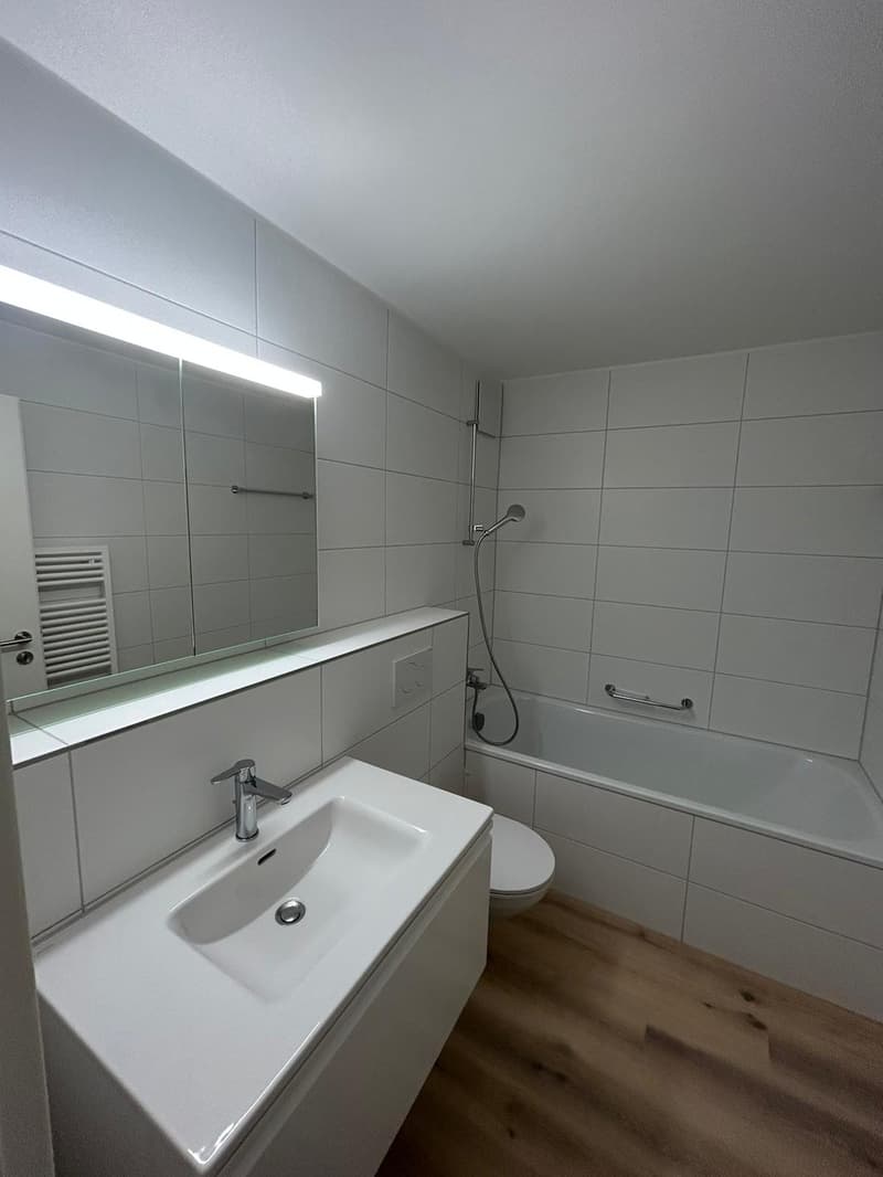 Appartamento 3 locali luminoso e moderno in affitto (6)