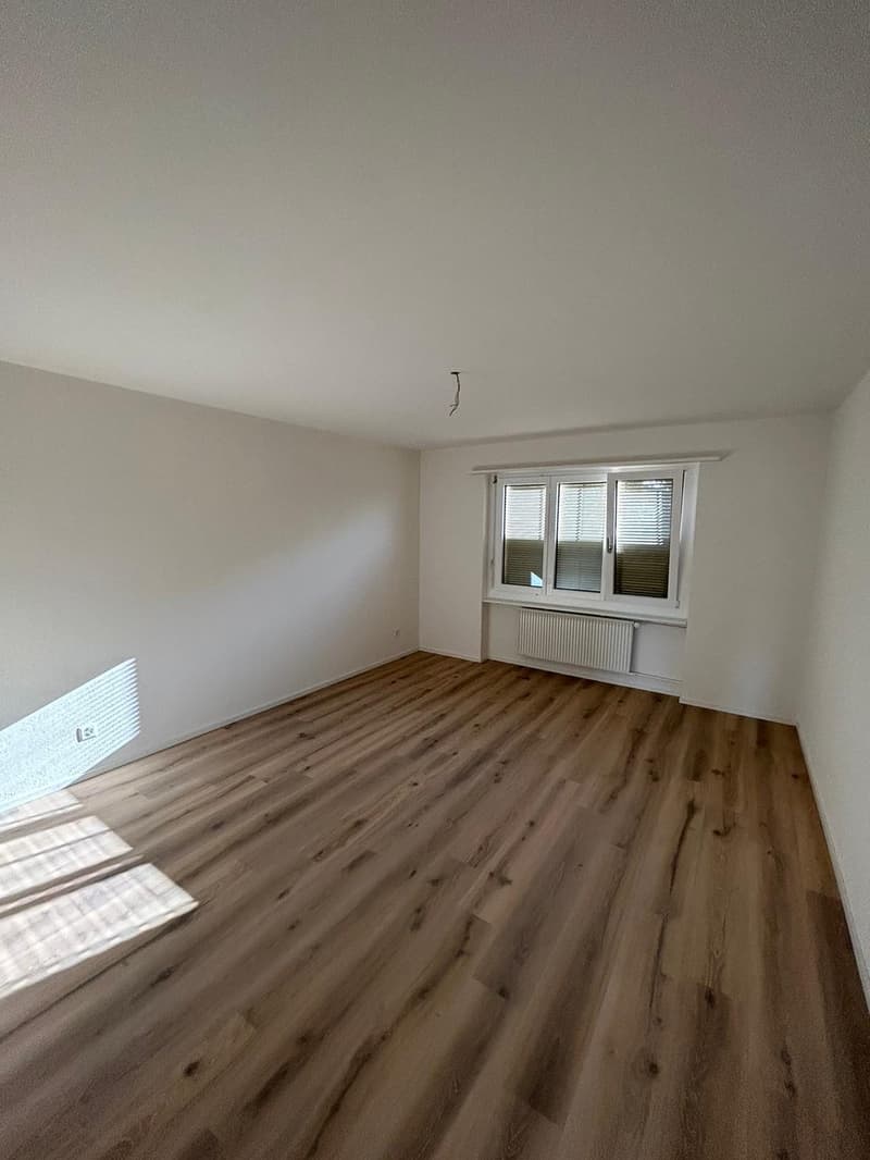 Appartamento 3 locali luminoso e moderno in affitto (7)