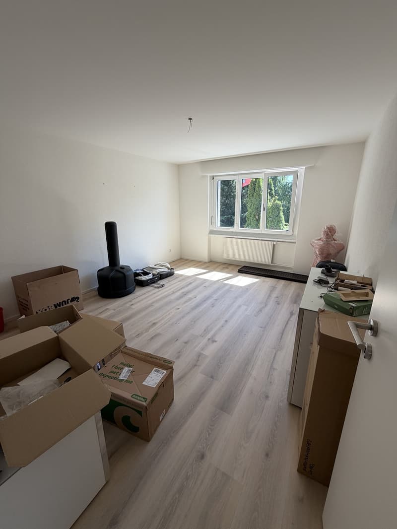 Appartamento 3 locali luminoso e moderno in affitto (9)