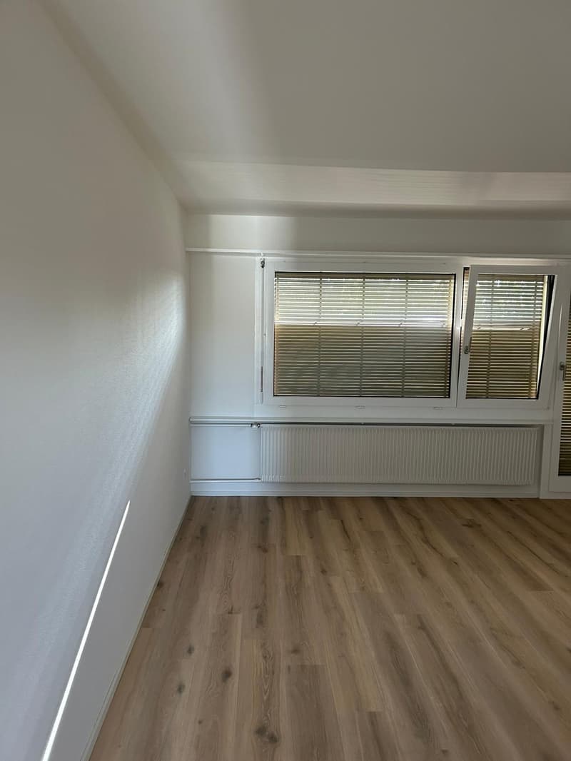 Appartamento 3 locali luminoso e moderno in affitto (2)