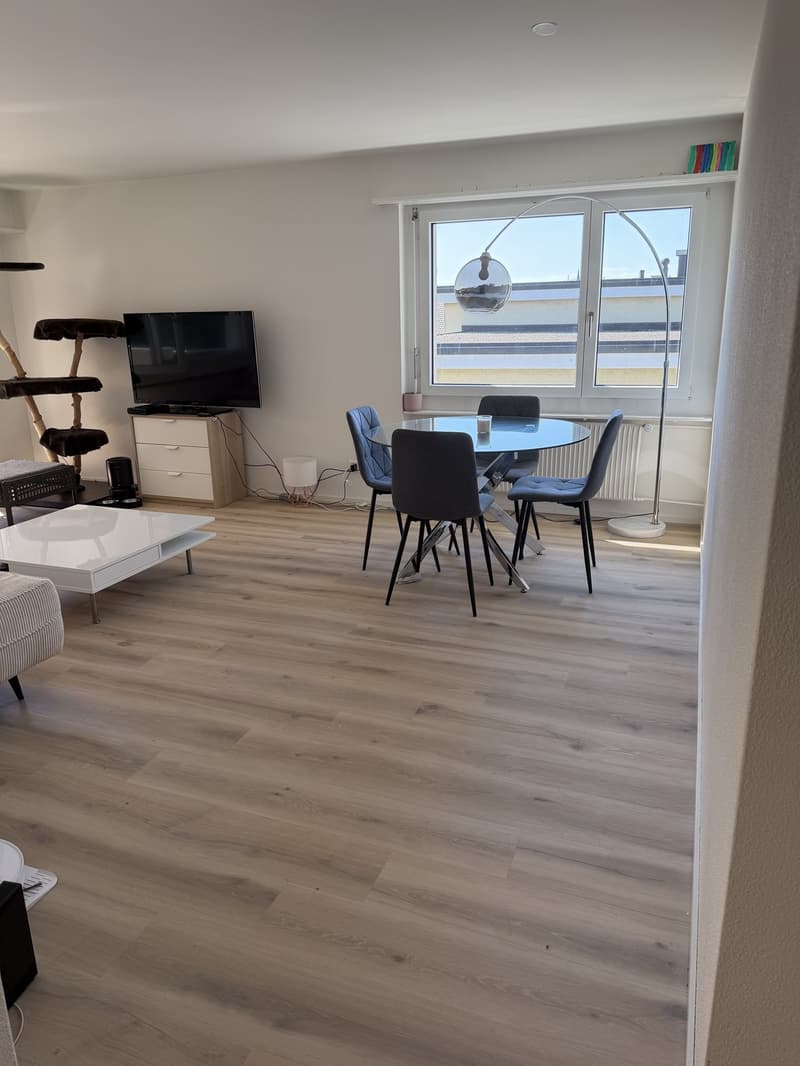 Appartamento 3 locali luminoso e moderno in affitto (12)