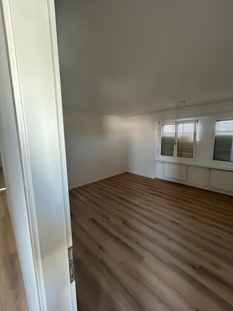 Appartamento 3 locali luminoso e moderno in affitto (5)