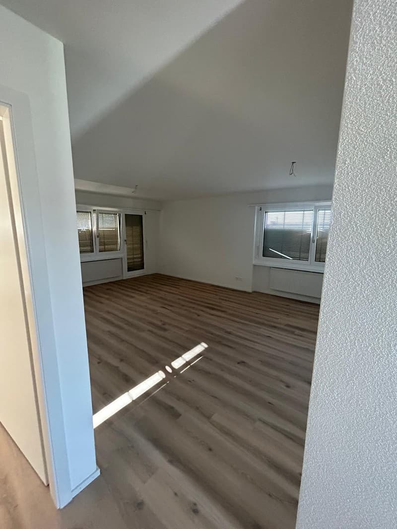 Appartamento 3 locali luminoso e moderno in affitto (8)