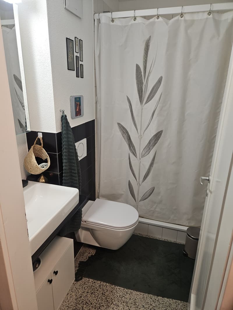Helle 2-Zimmerwohnung im Breitenrain (4)