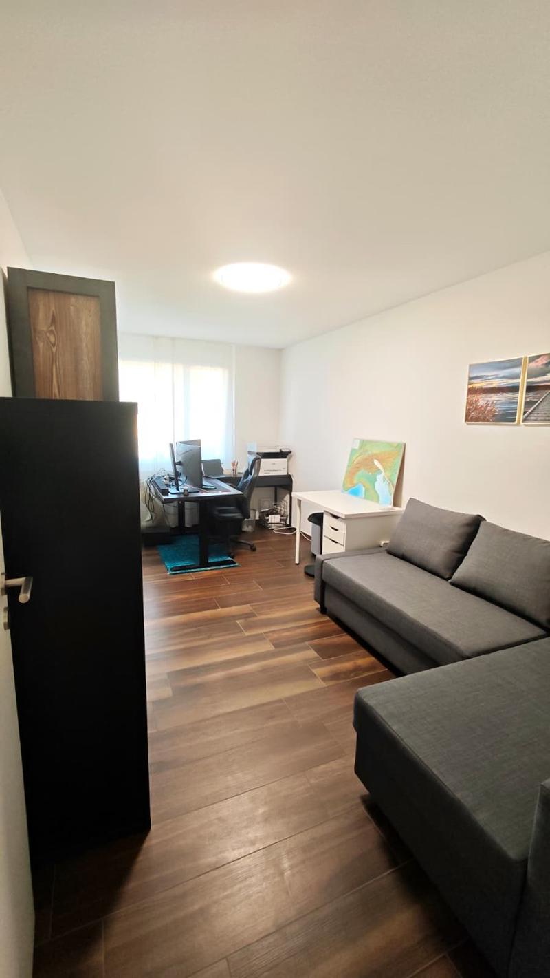 3.5-Room Attic Apartment (12)