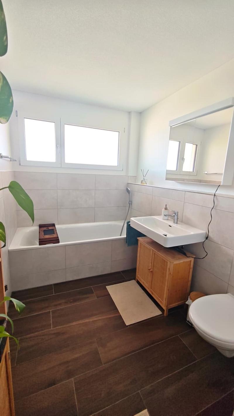 3.5-Room Attic Apartment (8)