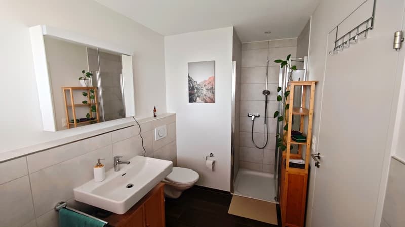 3.5-Room Attic Apartment (9)