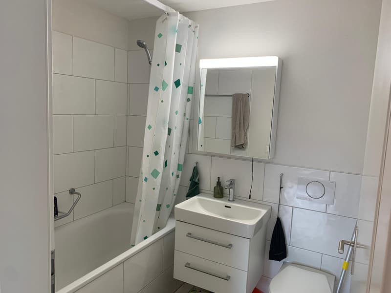 3.5 Room Apartment with Well-Lit Rooms (2)