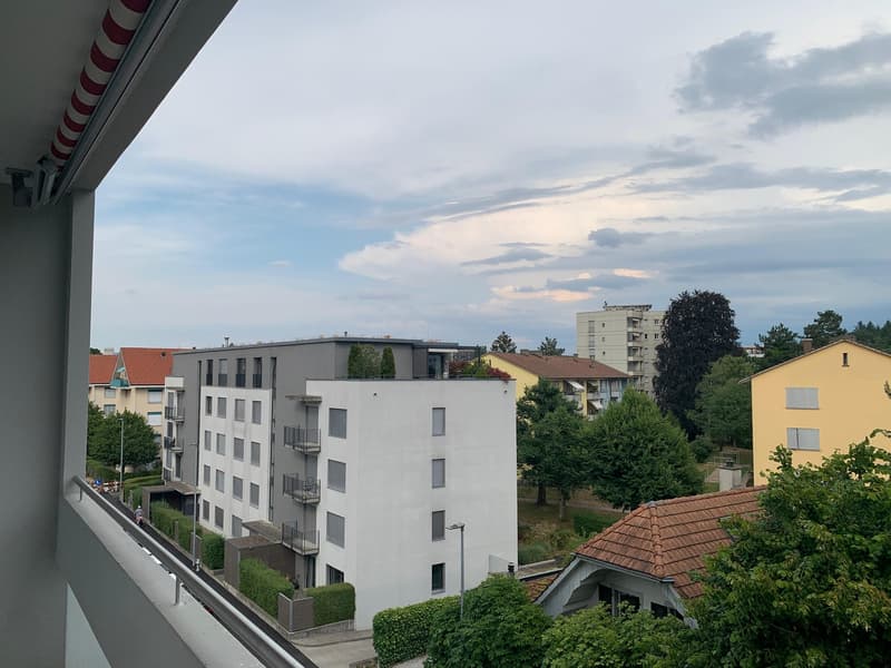 3.5 Room Apartment with Well-Lit Rooms (5)