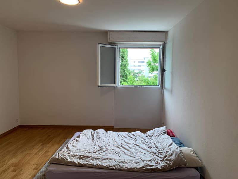 3.5 Room Apartment with Well-Lit Rooms (3)